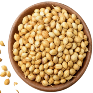 Coriander Seeds (Dhana)